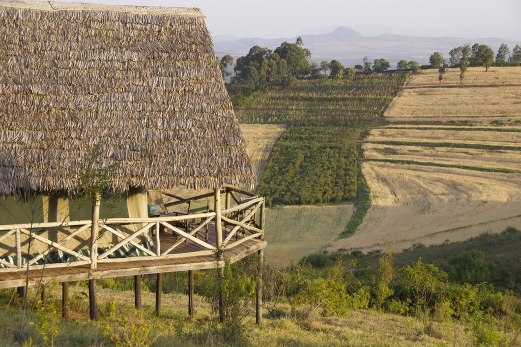 Rhotia Valley Tented Lodge And Children'S Home Karatu Chambre photo